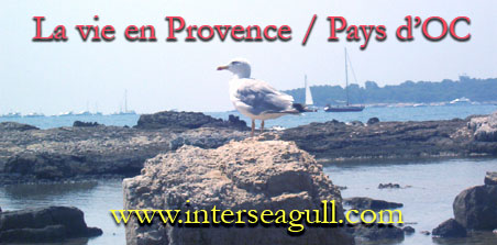 Interseagull.com